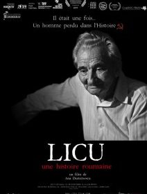Licu, une histoire roumaine - Ana Dumitrescu - critique