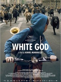 White God : la bande-annonce d'un film qui a du chien