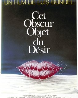 Cet obscur objet du désir - Luis Buñuel - critique