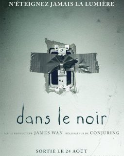 Dans le Noir - la critique du film