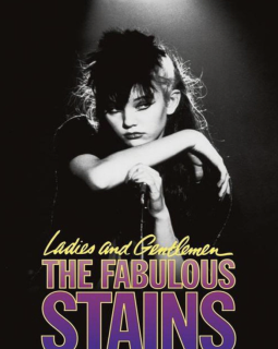 Ladies and Gentlemen, The Fabulous Stains - Lou Adler - critique 