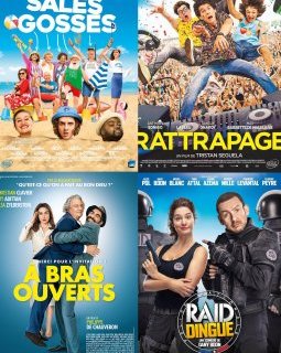 Bilan 2017 sur la comédie française : entre les succès de Dany Boon et Philippe Lacheau, et des flops en série