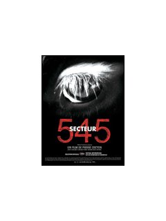 Secteur 545 - la critique