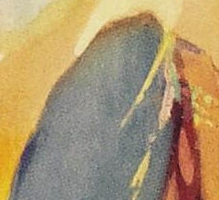 La vallée de la peur - Raoul Walsh - critique