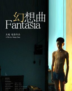 Fantasia - la critique du film