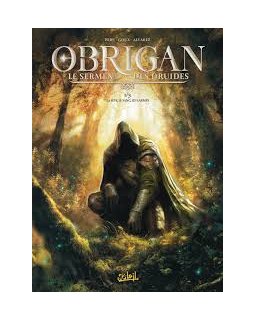 Obrigan Le Serment des Druides T.1. La sève, le sang, les larmes - Olivier Peru, Pierre-Denis Goux - la chronique BD 
