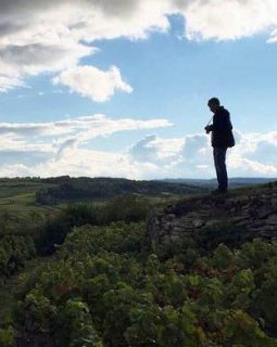 Klapisch au coeur d'un vignoble Bourguignon