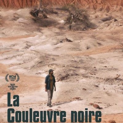 La couleuvre noire - Aurélien Vernhes-Lermusiaux - critique 