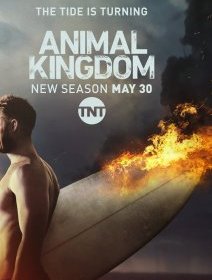 Animal Kingdom saison 2 – la critique (sans spoiler)