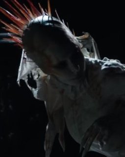 Mylène Farmer au cinéma chez Pascal Laugier : City of Gore ?