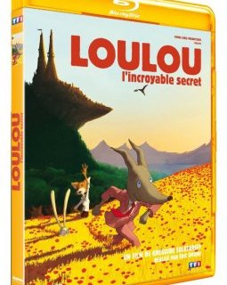 Loulou l'incroyable secret - le test blu-ray