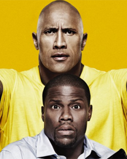 Démarrages Paris 14h : Agents presque secrets sort du noir