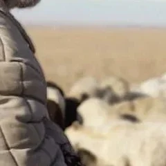 Abel - Elzat Eskendir - critique