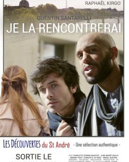 Je la rencontrerai - la critique du film
