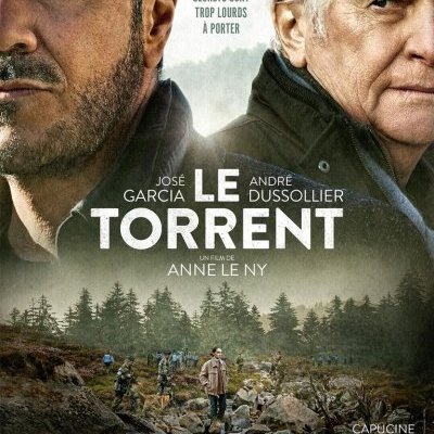 Le torrent - Anne Le Ny - critique 