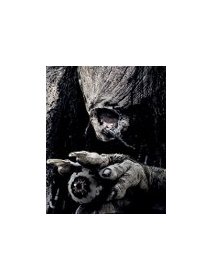 Le choc des Titans (2010)