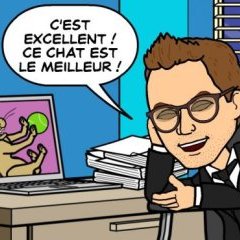 Bitstrips, l'appli qui parle de ta vie à regarder des vidéos de chat (FranceTV Info) Bitstrips, l'appli qui parle de ta vie à regarder des vidéos de chat (FranceTV Info)