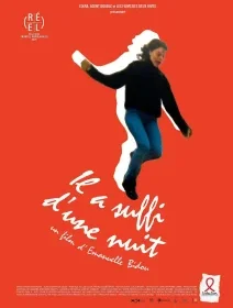 Il a suffi d'une nuit - Emmanuelle Bidou - critique
