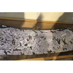 "Bataille" de Sophie Guerrive