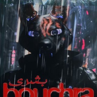 Bouchra - Orian Barki et Meriem Bennani - critique