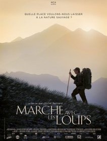 Marche avec les loups - la critique du film