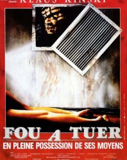 Fou à tuer (en pleine possession de ses moyens) - la critique du film
