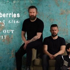 spip-bandeau spip-bandeau