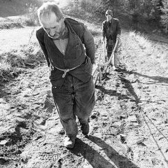 Obrazy starého sveta (Dušan Hanák 1972)