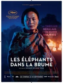 Les éléphants dans la brume - Abinash Bikram Shah - critique
