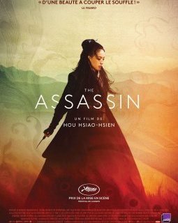 The Assassin - la critique du film