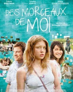 Des morceaux de moi - la critique