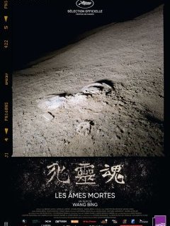 Les âmes mortes - Wang Bing - critique