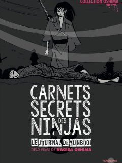 Carnets secrets des ninjas - la critique du film