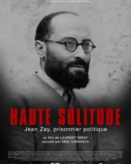 Haute solitude, Jean Zay prisonnier politique - Laurent Véray - critique