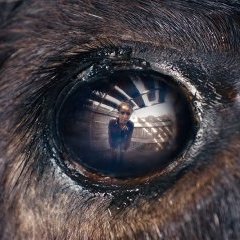 spip-slider spip-slider