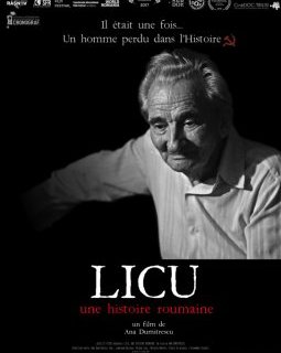 Licu, une histoire roumaine - Ana Dumitrescu - critique