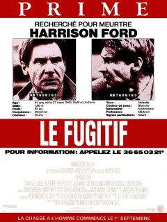 Le fugitif - La critique