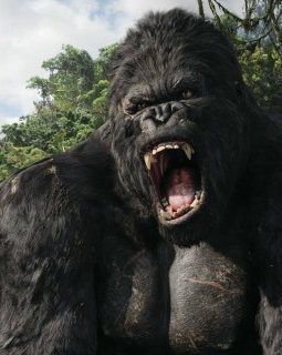 Quand le scénariste de Flight rencontre King Kong