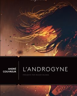 L'androgyne d'André Couvreur - La critique du livre