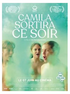 Camila sortira ce soir - Inés María Barrionuevo - critique 