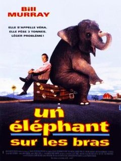 Un éléphant sur les bras - la critique