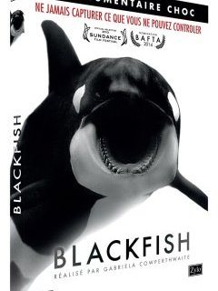 Blackfish - la critique et le test DVD