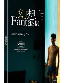 Fantasia - le test DVD