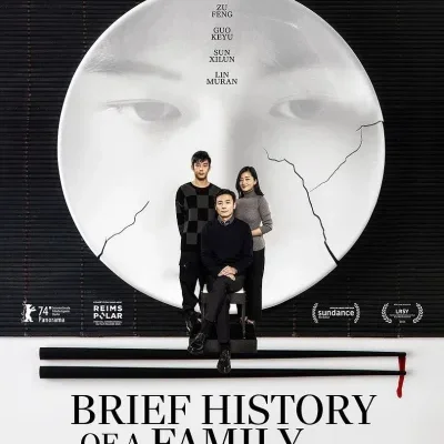 Brief History of a Family - Jianjie Lin - critique