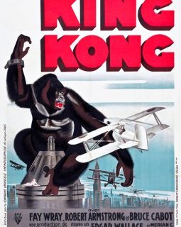 King Kong - la critique + test DVD 