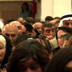 © Aloest Distribution