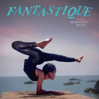 Fantastique - Marjolijn Prins - critique