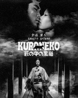 Kuroneko - Kaneto Shindō - critique