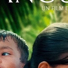 Les fleurs du manguier - Akio Fujimoto - critique