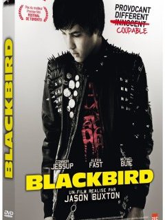 Blackbird - le test DVD